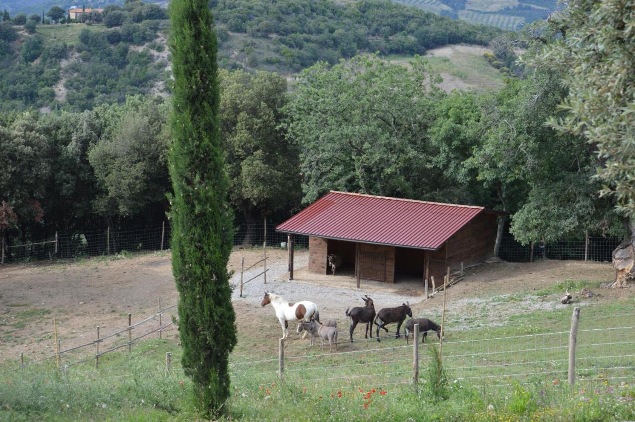 Bellavista Villa Seggiano Exterior foto