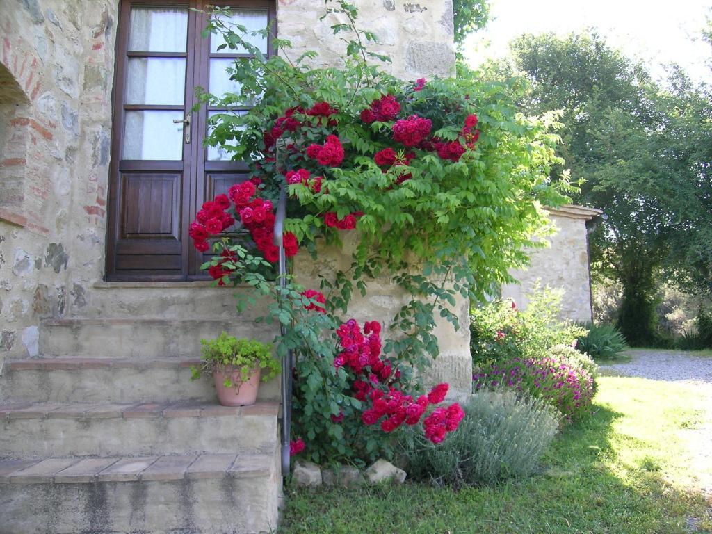 Bellavista Villa Seggiano Exterior foto