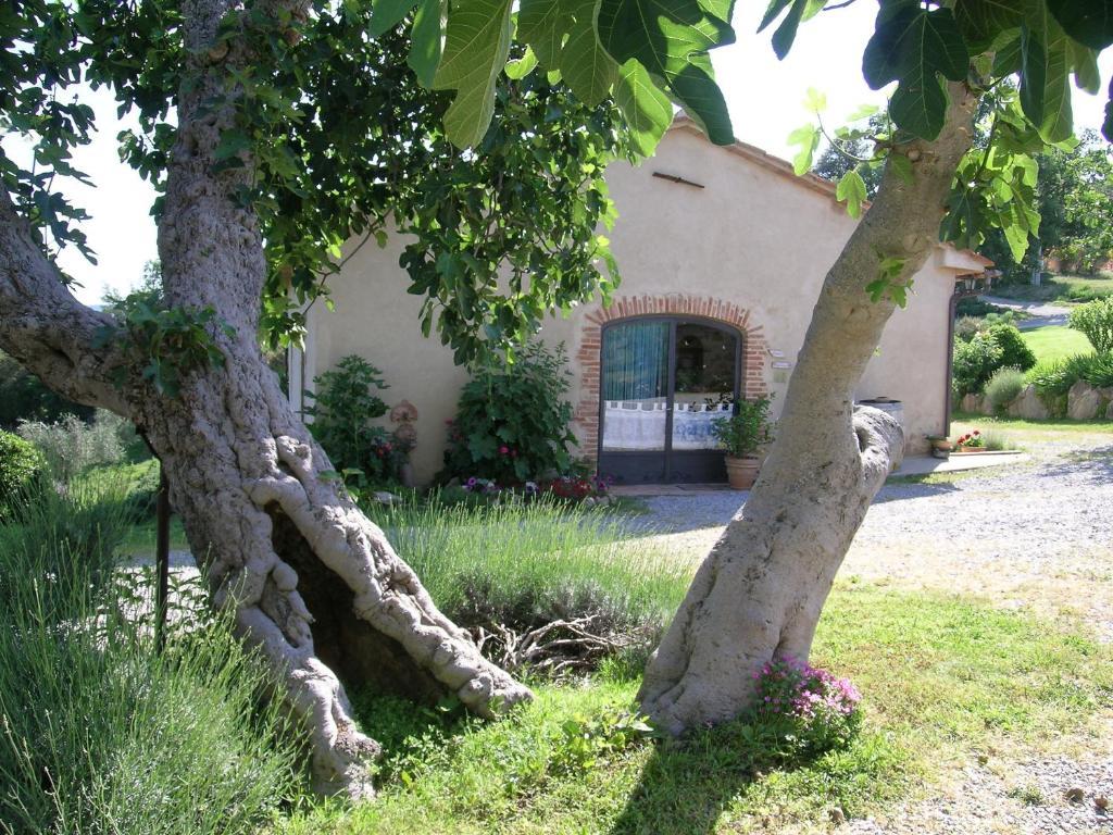 Bellavista Villa Seggiano Exterior foto
